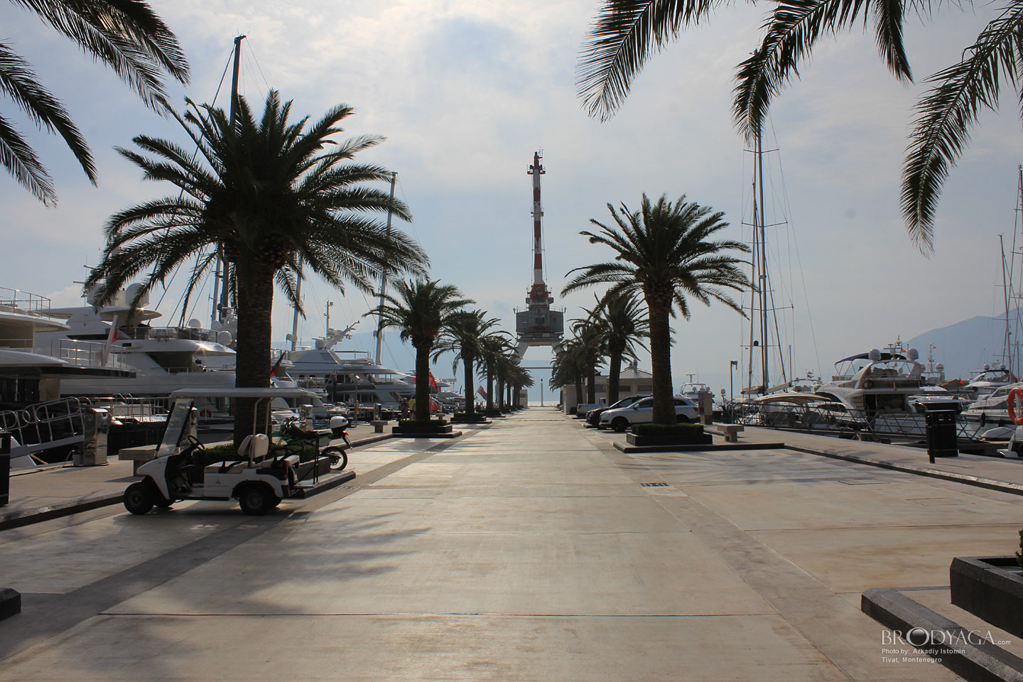 Tivat